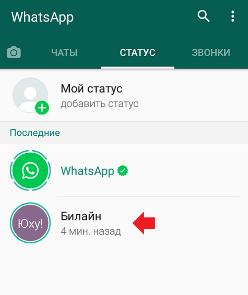Как посмотреть статус в WhatsApp и остаться незамеченным? 